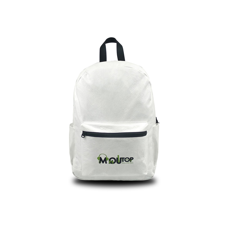 leisure computer backpack