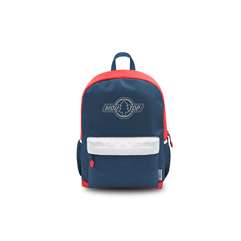 Stylish backpack with laptop compartment