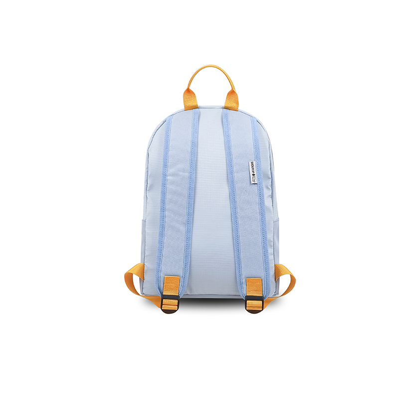 laptop backpack-back